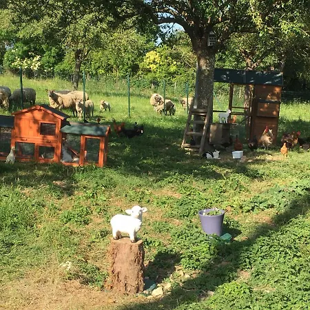 De La Grenouille Dom wakacyjny *