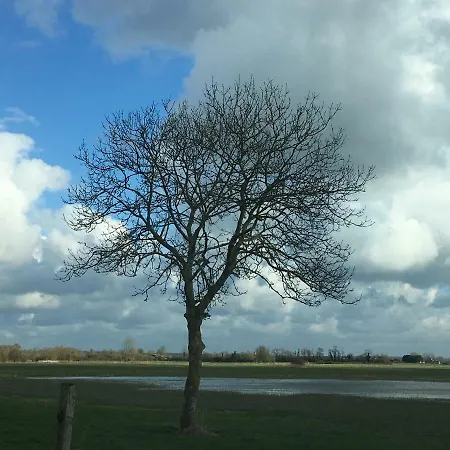 De La Grenouille *