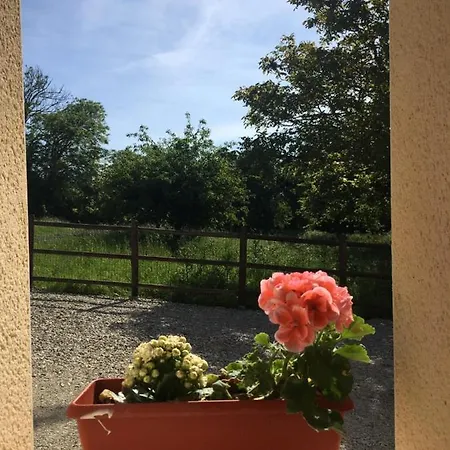 Vakantiehuis De La Grenouille La Cambe