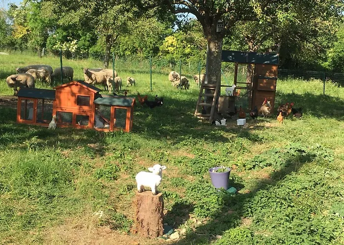 De La Grenouille Сasa de vacaciones *